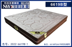 溫暖玫瑰6619B